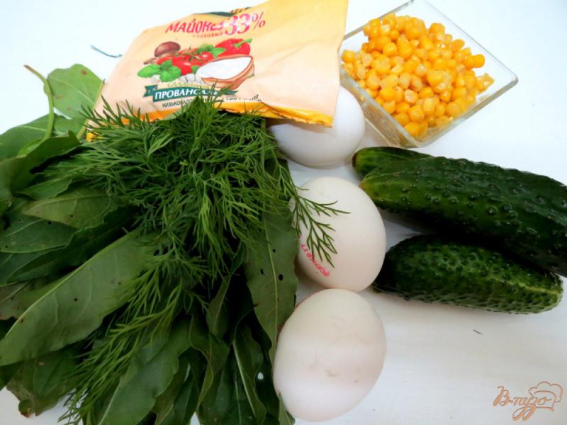 Фото приготовление рецепта: Салат из огурца, щавеля и кукурузы шаг №1