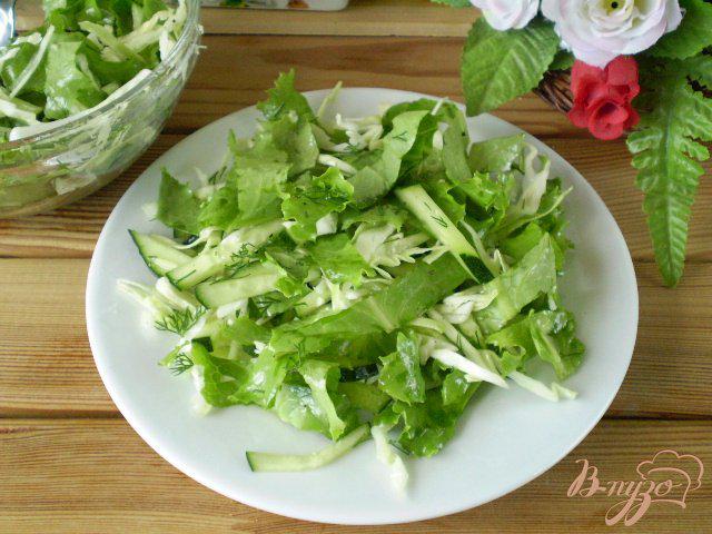 Фото приготовление рецепта: Салат с молодой капустой и салатом шаг №7