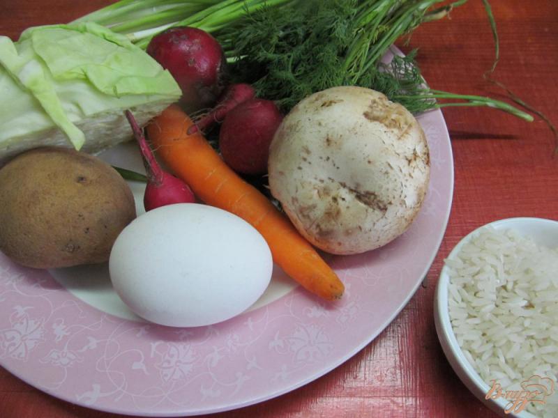 Фото приготовление рецепта: Рисовый суп с овощами шаг №1