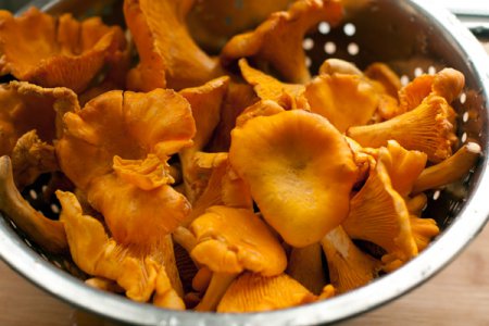Лазанья с грибами Лазанья с грибами