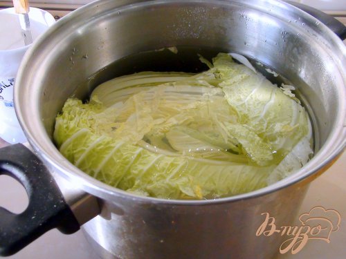 Острая закуска из пекинской капусты, по мотивам Ким-чи. Острая закуска из пекинской капусты, по мотивам Ким-чи.