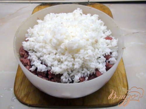 Ёжики с жареным луком. Ёжики с жареным луком.