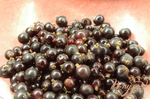 Мусс из черной смородины Мусс из черной смородины