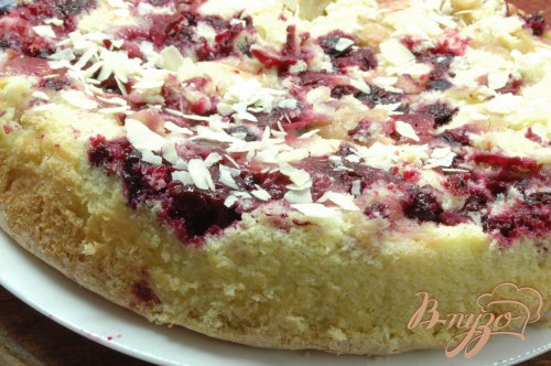 Шарлотка с яблоками и черной смородиной Шарлотка с яблоками и черной смородиной