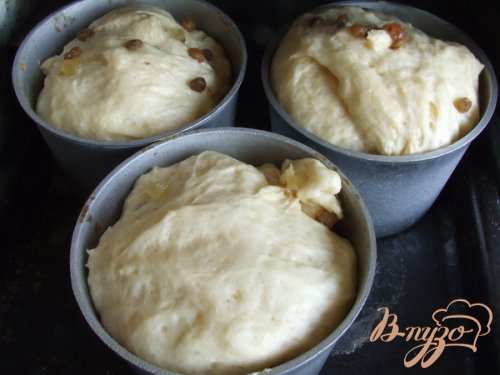 Кулич на желтках Кулич на желтках
