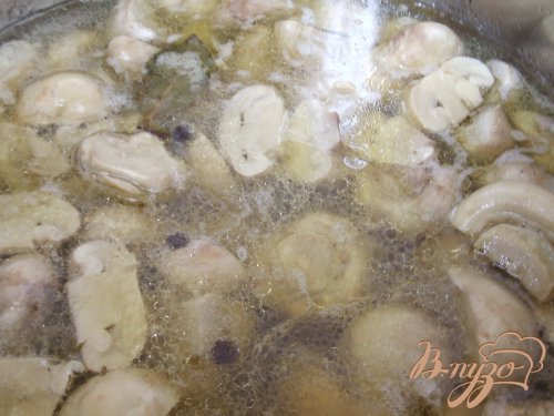 Венесуэльские грибочки (домашние маринованные шампиньоны) Венесуэльские грибочки (домашние маринованные шампиньоны)