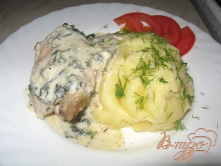 Курица в соусе из сметаны и шпината Курица в соусе из сметаны и шпината