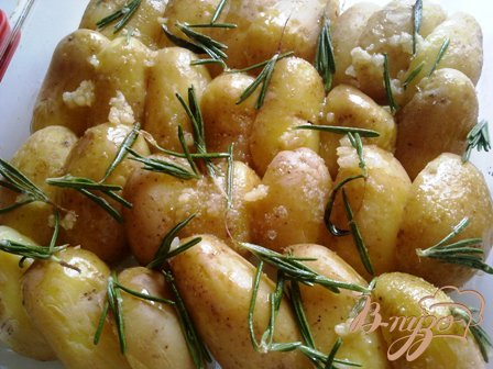 Запеченный картофель с чесноком и розмарином Запеченный картофель с чесноком и розмарином