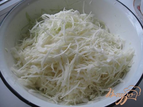 Капуста квашеная Капуста квашеная