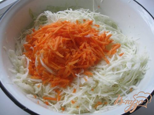 Капуста квашеная Капуста квашеная