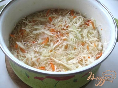 Капуста квашеная Капуста квашеная