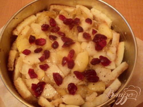 Шарлотка Шарлотка
