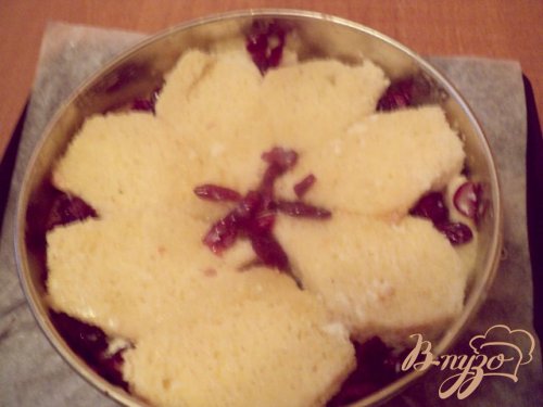 Шарлотка Шарлотка