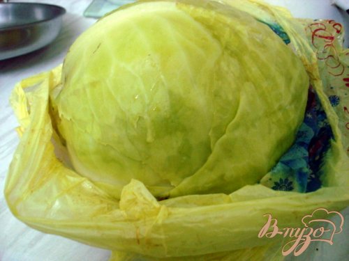 Голубцы с мясом и грибами Голубцы с мясом и грибами