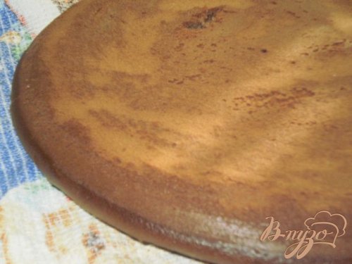 Шоколадный торт "Купол" Шоколадный торт "Купол"