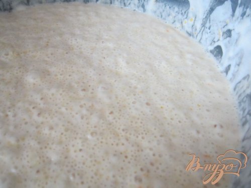 Апельсиновые крампеты (Crumpets) Апельсиновые крампеты (Crumpets)