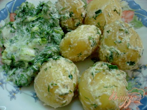 Молодой картофель (три способа подачи) Молодой картофель (три способа подачи)