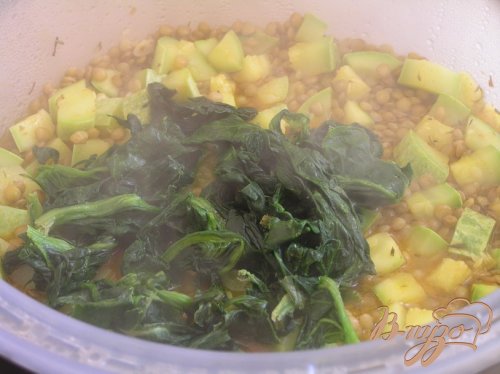 Чечевица, томленная в морковном соке с кабачками и шпинатом Чечевица, томленная в морковном соке с кабачками и шпинатом