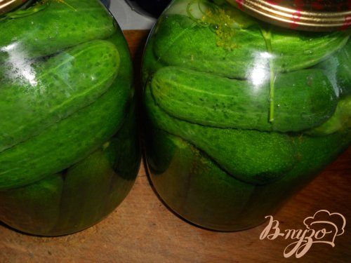 Огурцы маринованные на зиму Огурцы маринованные на зиму