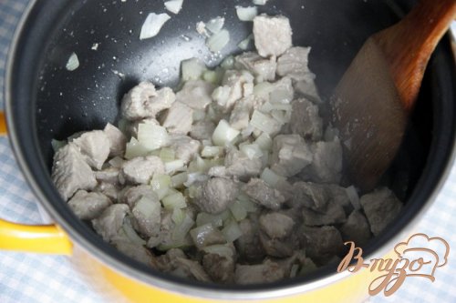 Жаркое из свинины с яблоком Жаркое из свинины с яблоком