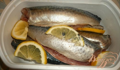 Скумбрия в фольге, с лимоном и луком Скумбрия в фольге, с лимоном и луком