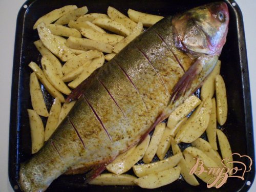 Рыба с овощами в духовке Рыба с овощами в духовке