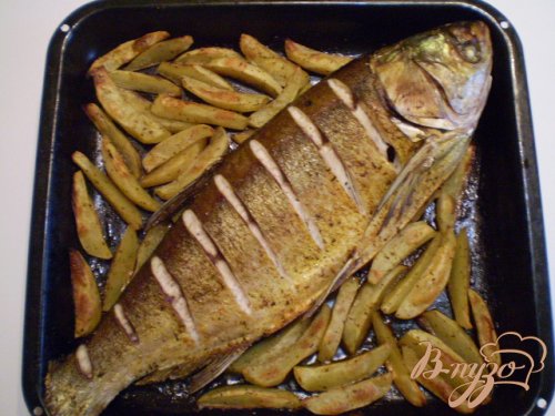 Рыба с овощами в духовке Рыба с овощами в духовке