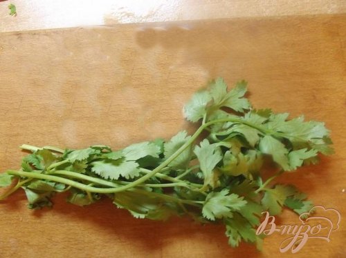 Салат с кинзой Салат с кинзой