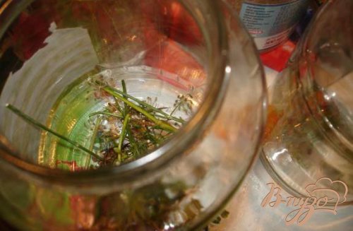 Маринованные помидорки под водочку "Страна советов" Маринованные помидорки под водочку "Страна советов"