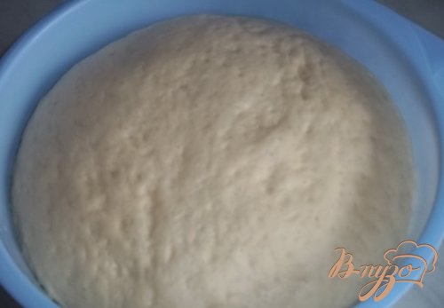 Фугасс с грудинкой и грецкими орехами Фугасс с грудинкой и грецкими орехами