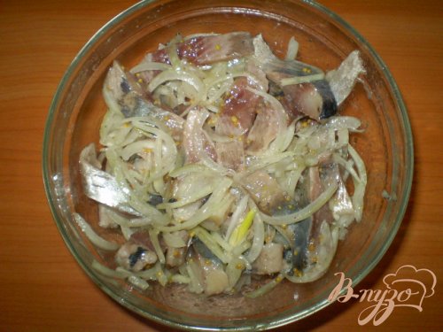 Селедка под луком и горчицей Селедка под луком и горчицей