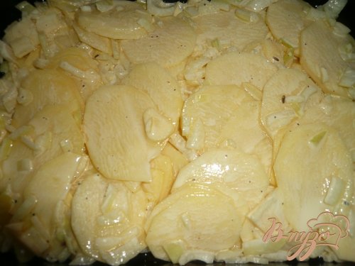 Картофель запеченный под сметанным соусом Картофель запеченный под сметанным соусом