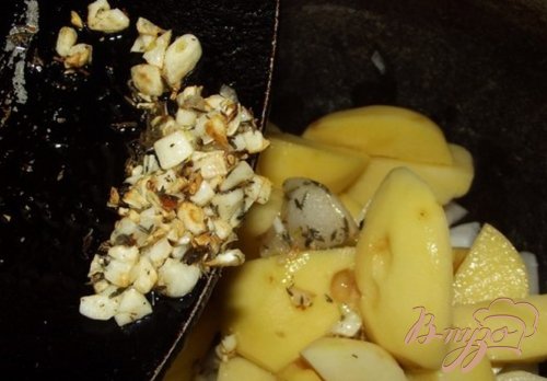 Галличанский картофель Галличанский картофель