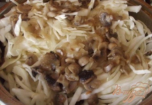 Капуста тушеная с грибами Капуста тушеная с грибами