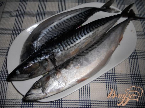 Скумбрия маринованная по-домашнему Скумбрия маринованная по-домашнему