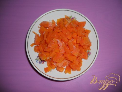 Оливье-лайт Оливье-лайт