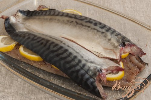 Скумбрия на углях Скумбрия на углях