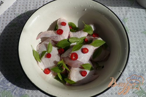 Курица на мангале, маринованная в минеральной воде Курица на мангале, маринованная в минеральной воде