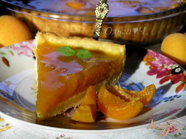 сирний тарт з абрикосово-апельсиновим желе. як приготувати з фото