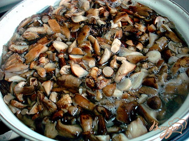 Кундюбки Кундюбки