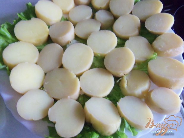 Суши по русски (закуска из картошки с селедкой) Суши по русски (закуска из картошки с селедкой)