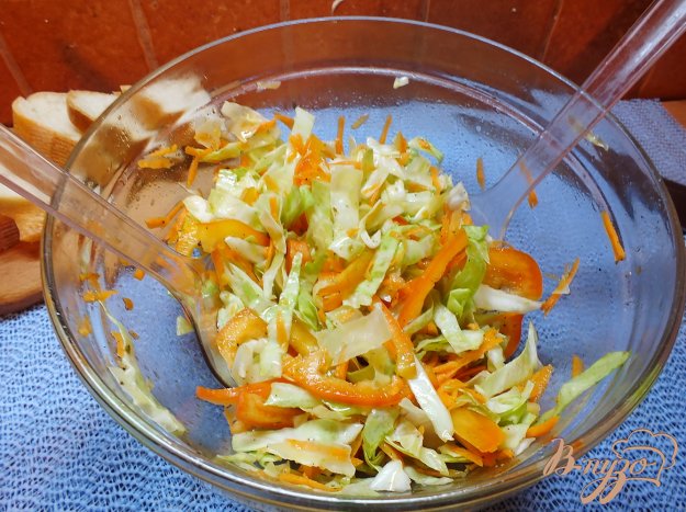 салат з болгарського перцю і моркви. як приготувати з фото