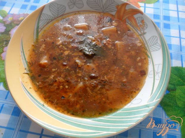 Український суп харчо з волоськими горіхами. як приготувати з фото