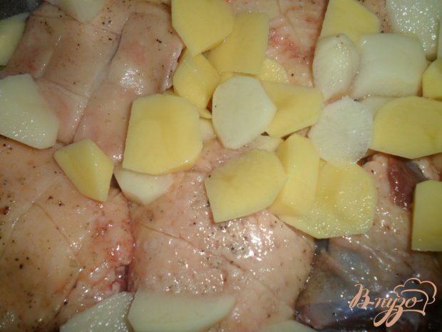 Гусь кусочками тушеный с картошкой Гусь кусочками тушеный с картошкой