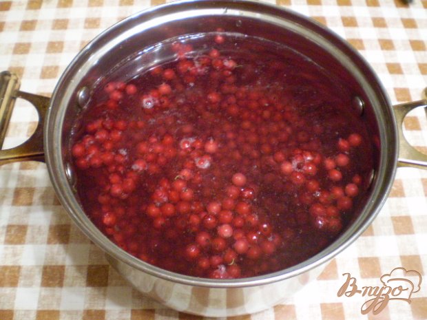 Кисель из красной смородины Кисель из красной смородины