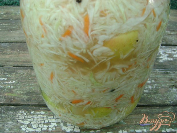 Квашеная капуста с яблоками Квашеная капуста с яблоками