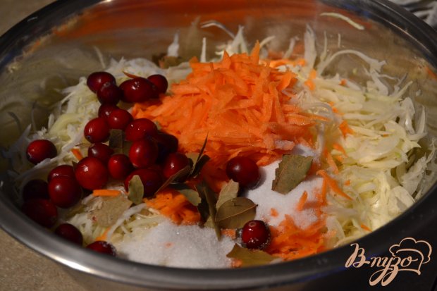Квашеная капуста с яблоками и клюквой Квашеная капуста с яблоками и клюквой