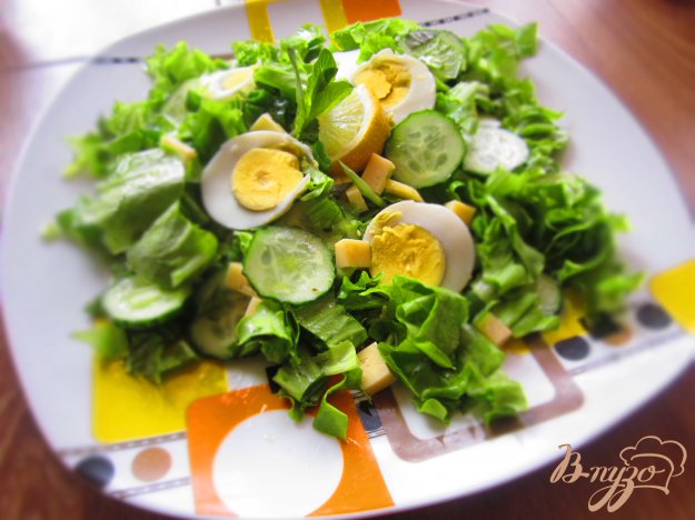 салат з сиром і зеленню з м'ятно-лимонної заправкою. як приготувати з фото