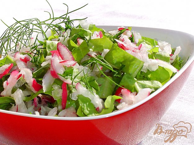салат з редису і салатних листків. як приготувати з фото