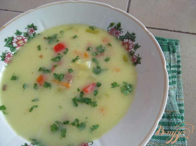 суп зі свіжих овочів на свинячому бульйоні з пшоном. як приготувати з фото